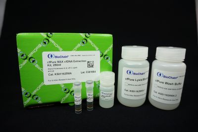 cfPure® MAX Cell-Free DNA Extraction Kit