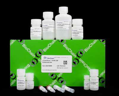 xTractPure™ FFPE DR Extraction Kit