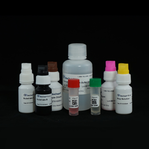 ELISA Kit for Antibody to Treponema Pallidum (TP)
