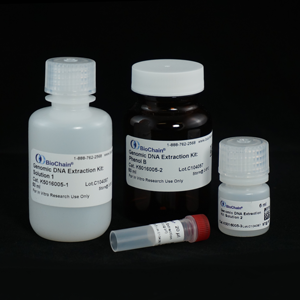 Blood and Serum DNA Isolation Kit