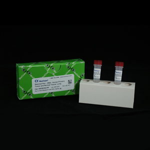 Methylated & Low-Methylated DNA Matched Pair - Human Lymphocyte Cell Line