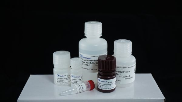 Total Protein Extraction Kit: 50X PI