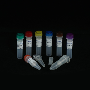 Mitochondria Activity Assay Kit (Out of Stock) 
