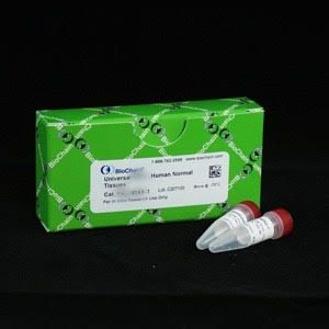 Universal Protein Lysate: Dog Normal Tissues
